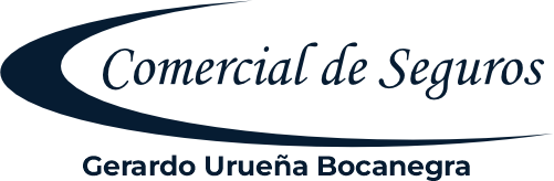 Comercial de Seguros